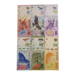 Recto set billets argentine ND 2017