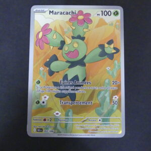 Maracachi AR 093/086 Foudre noir Ecarlate et Violet