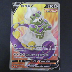 Boréas V full art 184/198 Règne des glace épée et bouclier