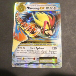 M Roucarnage EX 65/108 xy evolution