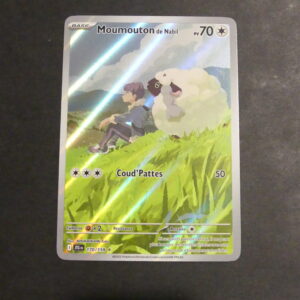 Moumouton de Nabil AR 170/159 Aventure Ensemble Ecarlate et Violet