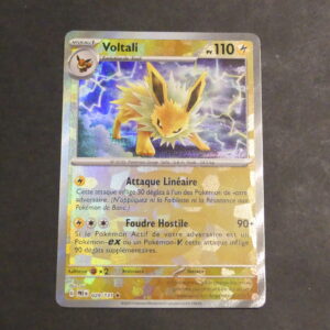 Voltali Master ball Evolution Prismatique 029/131 Ecarlate et Violet