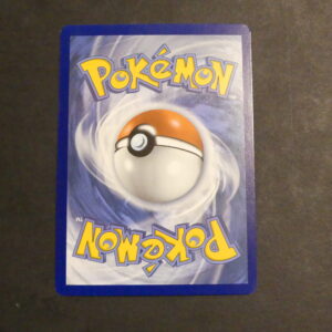 Phyllali Vmax 204/203 Evolutions Celeste Epée et Bouclier