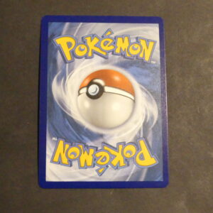 Sylveroy Cavalier d'Effroi Vmax TG18/TG30 Astre radieux Epée et Bouclier