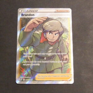 Brandon Full art 188/195 Tempête Argentée Epée et Bouclier