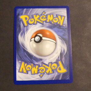 Brandon Full art 188/195 Tempête Argentée Epée et Bouclier