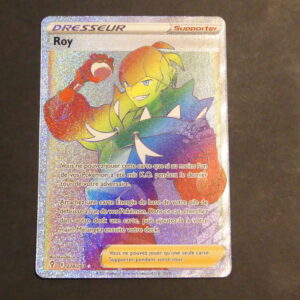 Roy Rainbow 224/203 Evolutions Celeste Epée et Bouclier