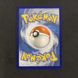 Mademoiselle Dresseuse rainbow 208/196 Origine Perdue Epée et Bouclier